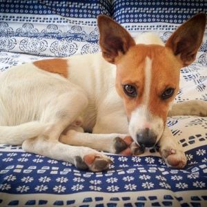 Meet your Posher, Sonia